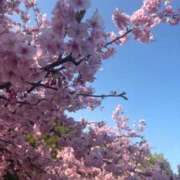 梨央奈(りおな) こんばんわ🌙 PLUS難波店