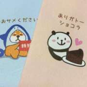 ヒメ日記 2025/02/13 09:42 投稿 うるみ sakura