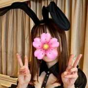 ヒメ日記 2025/04/03 15:52 投稿 うるみ sakura