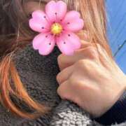 うるみ こんにちは☀️ sakura