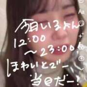 ヒメ日記 2025/03/14 10:49 投稿 ゆい 白いぽっちゃりさん錦糸町店