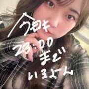 ヒメ日記 2025/03/18 15:47 投稿 ゆい 白いぽっちゃりさん錦糸町店