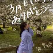 ヒメ日記 2025/03/31 19:57 投稿 ゆい 白いぽっちゃりさん錦糸町店