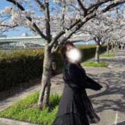 ヒメ日記 2025/04/23 13:57 投稿 ゆい 白いぽっちゃりさん錦糸町店