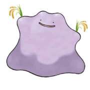 ヒメ日記 2025/05/08 14:17 投稿 ゆい 白いぽっちゃりさん錦糸町店