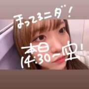 ヒメ日記 2025/09/11 12:07 投稿 ゆい 白いぽっちゃりさん錦糸町店