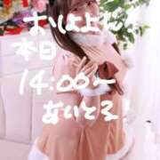 ゆい 🎀 🙅‍♀️🙅‍♀️🙅‍♀️ 🎀 白いぽっちゃりさん錦糸町店