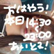 ゆい 🎀 今日🈳き！ある！ニダ！ 🎀 白いぽっちゃりさん錦糸町店