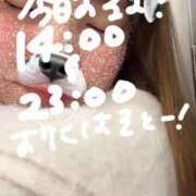 ヒメ日記 2026/02/03 12:57 投稿 ゆい 白いぽっちゃりさん錦糸町店