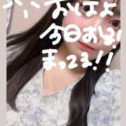 ヒメ日記 2026/04/24 08:47 投稿 ゆい 白いぽっちゃりさん錦糸町店