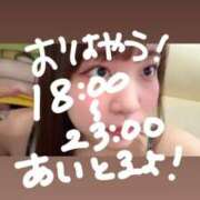 ヒメ日記 2026/04/30 14:07 投稿 ゆい 白いぽっちゃりさん錦糸町店