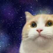 ヒメ日記 2025/11/15 21:18 投稿 【すずらん】潮吹き〇〇㌫！！ おねだり宮崎