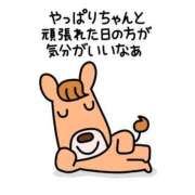 ヒメ日記 2025/11/22 20:09 投稿 【すずらん】潮吹き〇〇㌫！！ おねだり宮崎