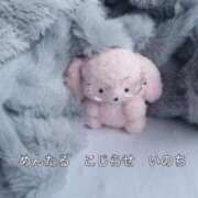 ヒメ日記 2025/12/28 15:26 投稿 【すずらん】潮吹き〇〇㌫！！ おねだり宮崎