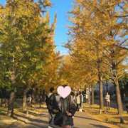 ヒメ日記 2025/11/20 09:32 投稿 大森 倶楽部 月兎