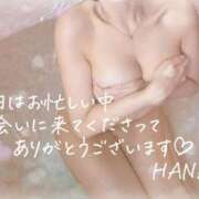 HANA『ハナ』 💌11/20 12時〜のSくんへ💌 GG