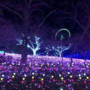 ヒメ日記 2024/12/22 21:02 投稿 すず One More奥様　立川店