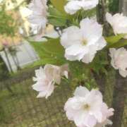 ヒメ日記 2025/04/20 13:59 投稿 すず One More奥様　立川店