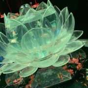 ヒメ日記 2026/08/21 18:23 投稿 さくら FAIRY Fukuoka Nakasu