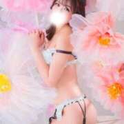 ヒメ日記 2026/03/19 11:53 投稿 メイサ バニーコレクション秋田店