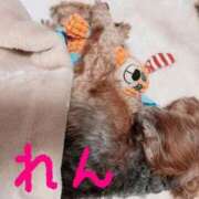 ヒメ日記 2025/04/02 12:04 投稿 華恋★綺麗系推し美女 BITEKI