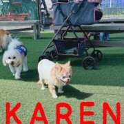 ヒメ日記 2025/04/08 10:01 投稿 華恋★綺麗系推し美女 BITEKI