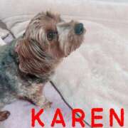 ヒメ日記 2025/04/15 10:36 投稿 華恋★綺麗系推し美女 BITEKI