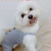 ヒメ日記 2025/04/16 15:01 投稿 華恋★綺麗系推し美女 BITEKI