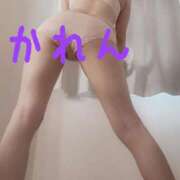 ヒメ日記 2025/06/15 09:17 投稿 華恋★綺麗系推し美女 BITEKI