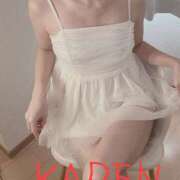 ヒメ日記 2026/02/18 20:17 投稿 華恋★綺麗系推し美女 BITEKI