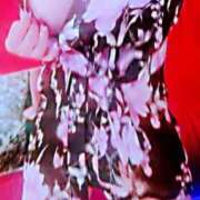 ヒメ日記 2024/12/13 00:16 投稿 ひとみ ファーストレディ(博多)