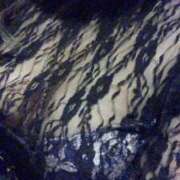 ヒメ日記 2025/04/29 00:29 投稿 すず One More奥様　八王子店