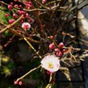 ヒメ日記 2025/03/01 22:03 投稿 渚　れいこ 熟女パラダイス甲府店（カサブランカグループ）