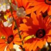 ヒメ日記 2025/10/04 13:42 投稿 みるく ルージュ(会津若松)