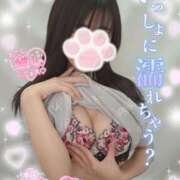 ヒメ日記 2024/12/12 12:59 投稿 ゆずちゃん ChuChuバナナ