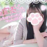 ヒメ日記 2024/12/18 17:59 投稿 ゆずちゃん ChuChuバナナ