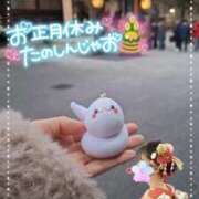 ヒメ日記 2025/01/01 19:09 投稿 ゆずちゃん ChuChuバナナ