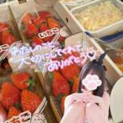 ヒメ日記 2025/02/11 12:59 投稿 ゆずちゃん ChuChuバナナ