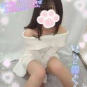 ヒメ日記 2025/02/19 12:57 投稿 ゆずちゃん ChuChuバナナ