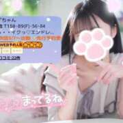 ヒメ日記 2025/02/28 13:49 投稿 ゆずちゃん ChuChuバナナ