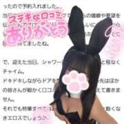 ヒメ日記 2025/04/02 12:49 投稿 ゆずちゃん ChuChuバナナ