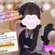 ヒメ日記 2025/05/18 10:59 投稿 ゆずちゃん ChuChuバナナ