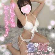 ヒメ日記 2025/08/23 14:25 投稿 ゆずちゃん ChuChuバナナ