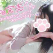 ヒメ日記 2025/09/04 02:29 投稿 ゆずちゃん ChuChuバナナ