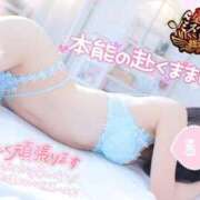 ヒメ日記 2025/10/13 19:59 投稿 ゆずちゃん ChuChuバナナ