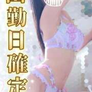 ヒメ日記 2025/11/12 17:39 投稿 ゆずちゃん ChuChuバナナ