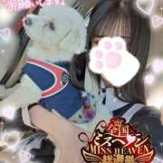 ヒメ日記 2025/11/21 10:19 投稿 ゆずちゃん ChuChuバナナ