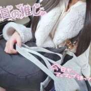 ヒメ日記 2025/11/26 12:09 投稿 ゆずちゃん ChuChuバナナ