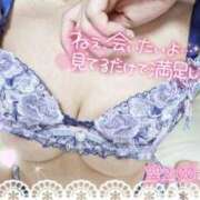 ヒメ日記 2026/02/27 05:29 投稿 ゆずちゃん ChuChuバナナ