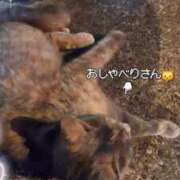 ヒメ日記 2026/03/09 06:49 投稿 ゆずちゃん ChuChuバナナ